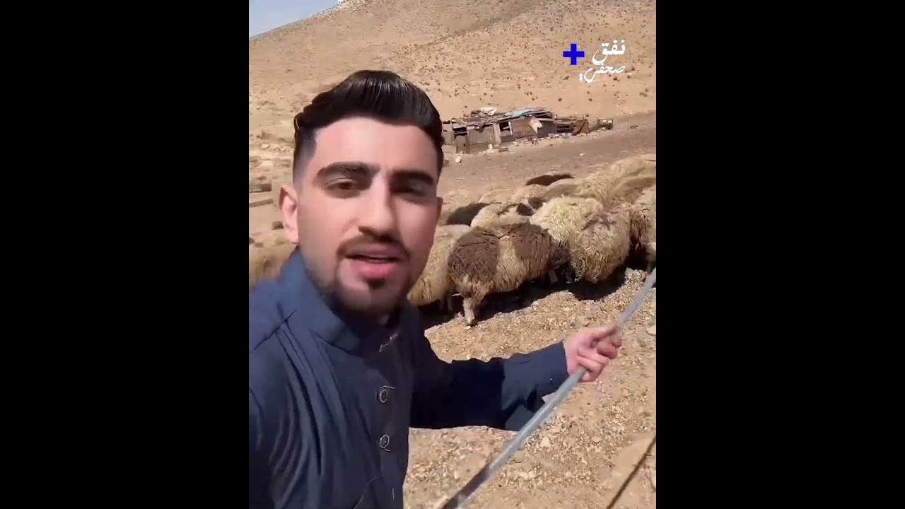 وعفوي تجربة شاب أردني أثناء تواجده في حظيرة لاختيار "خروف العيد"