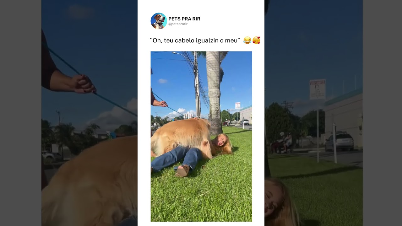 O Golden reconheceu a própria espécie 😂💀