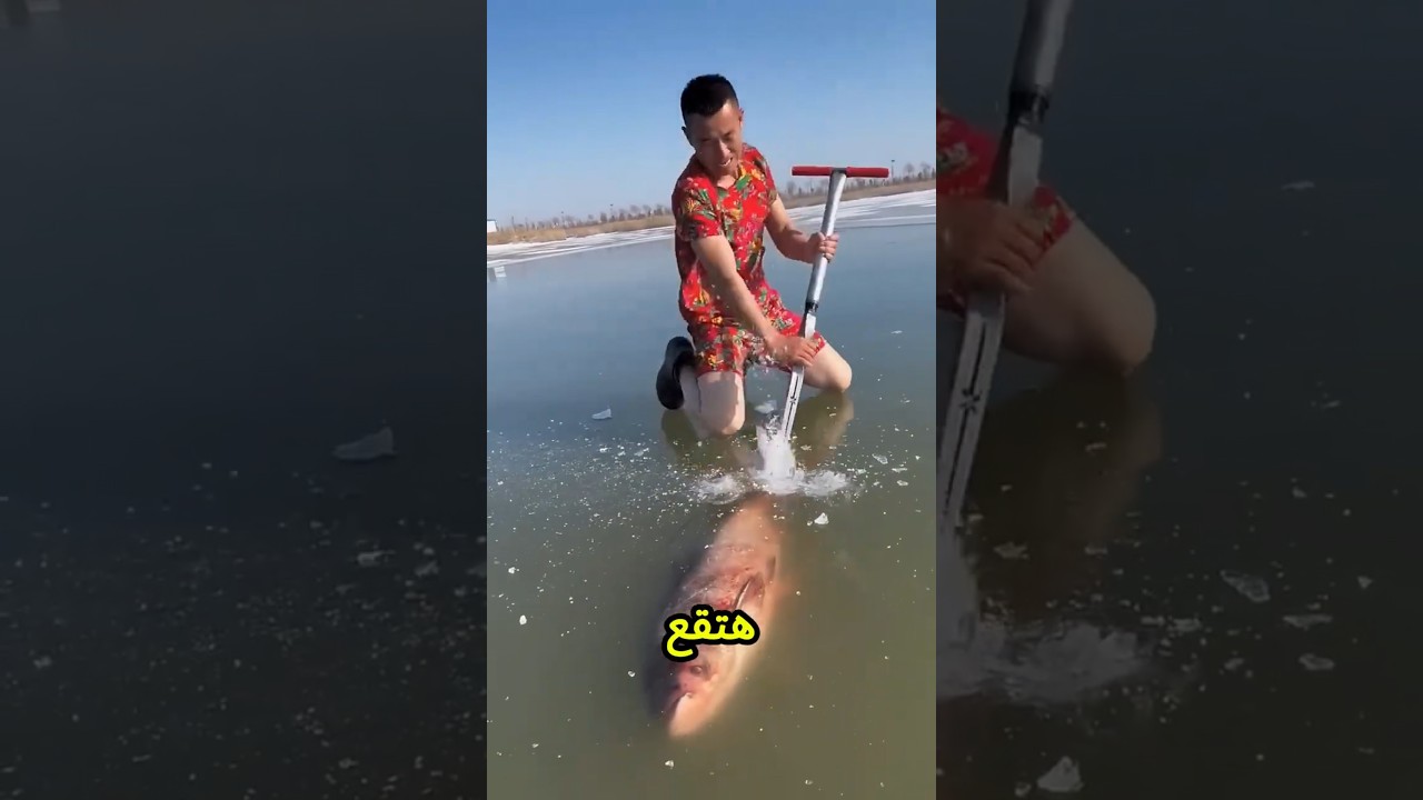 ينهار يا بابا! إنت بتكسر التلج ده ليه؟ لو اتكسر هتقع في البحر😨🧊🚨