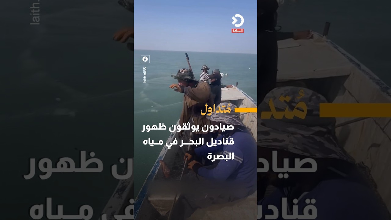 صيادون يوثقون ظهور قناديل البحر في مياه البصرة