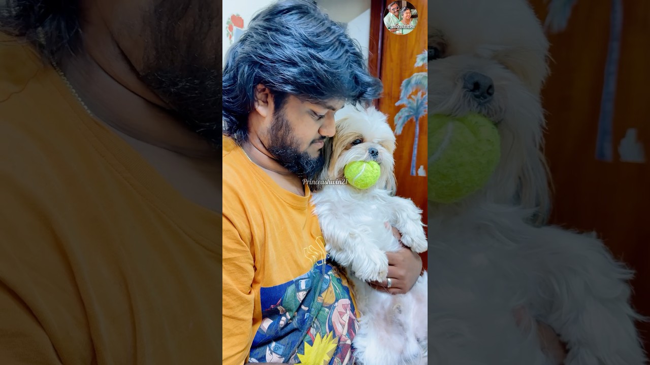 Enna aanalum indha ball ah mattum yarukum kuduka matan 😂 #minivlog #shorts