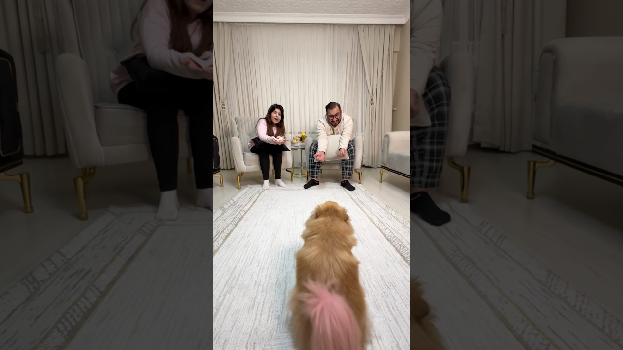 AKILLI LEYDİ ONA YAPILANI UNUTMADI ♥️♥️ #shortvideo