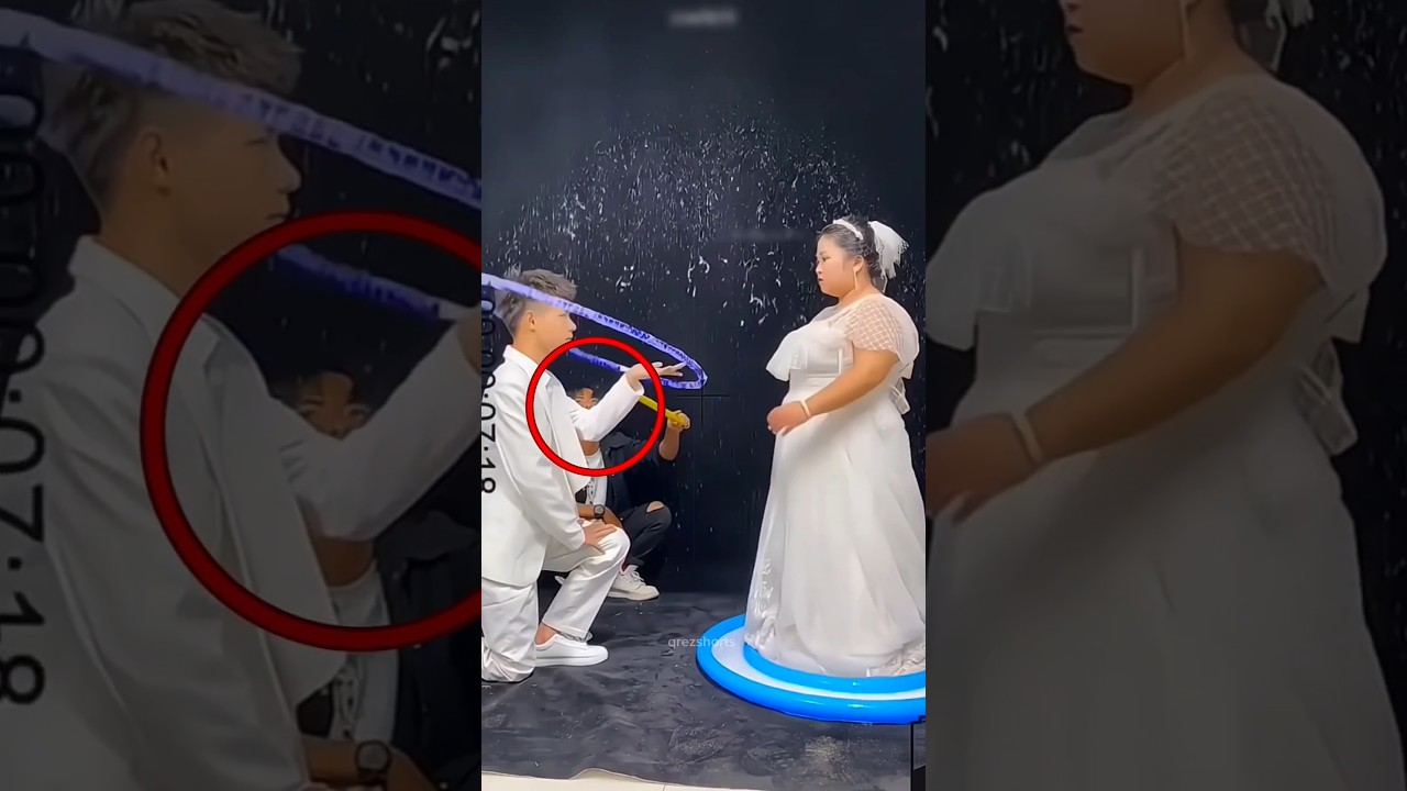 Amor Dentro da Bolha 💍🫧 #Catsoftiktok #CatLovers #cat #cute #FunnyCats #catcartoon #fyp