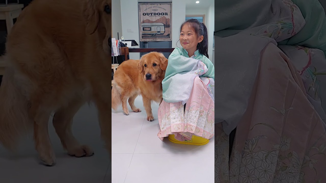 I’m just staring at you like this—let’s see who gets awkward first.就这么盯着你，看谁尴尬 #dog #pets