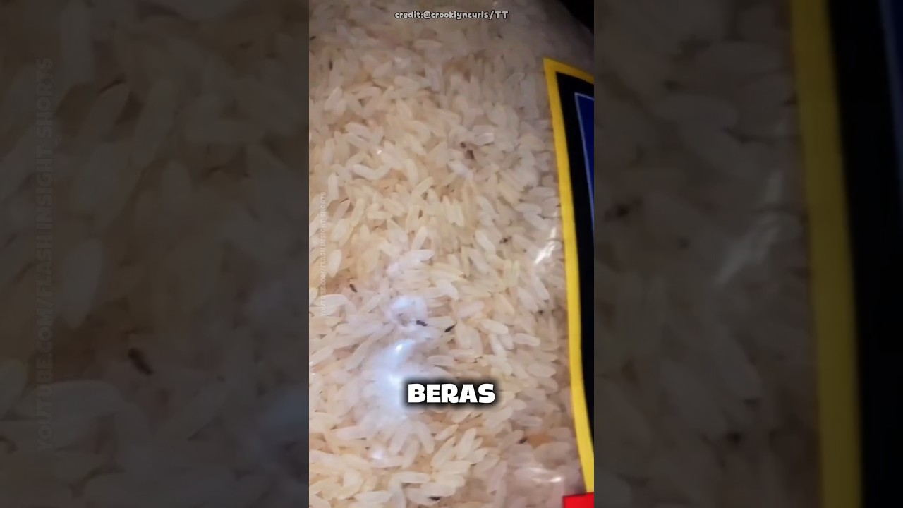 Kenapa Beras Tiba-Tiba Ada Kutunya? 😱