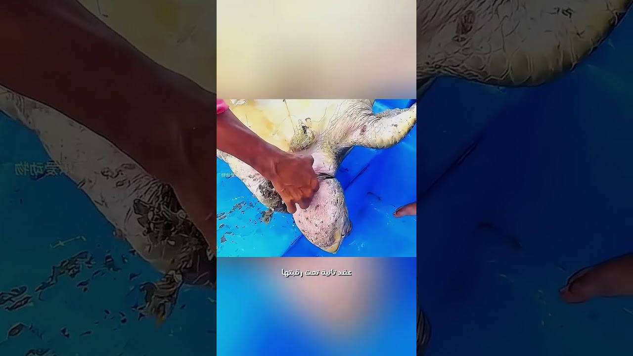 حبل على رقبتها،ولحظه انقاذ قلبت مصيرها في ثواني😥#حيل #اكسبلور #فكرتين #قصص 