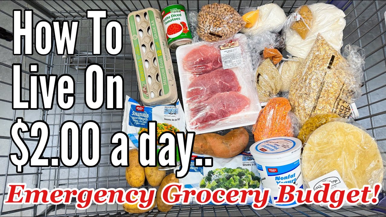 Eating For $2 A Day (Full Week)