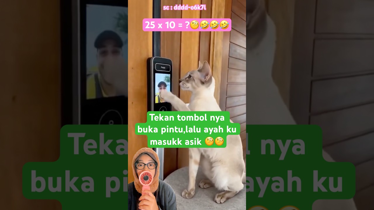 buka pintu nya dulu asikk #short dddd-o6k7l