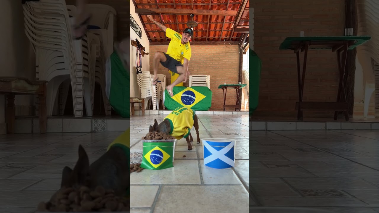 JOGO DO BRASIL, QUAL PLACAR? Comenta aí 👇🏽