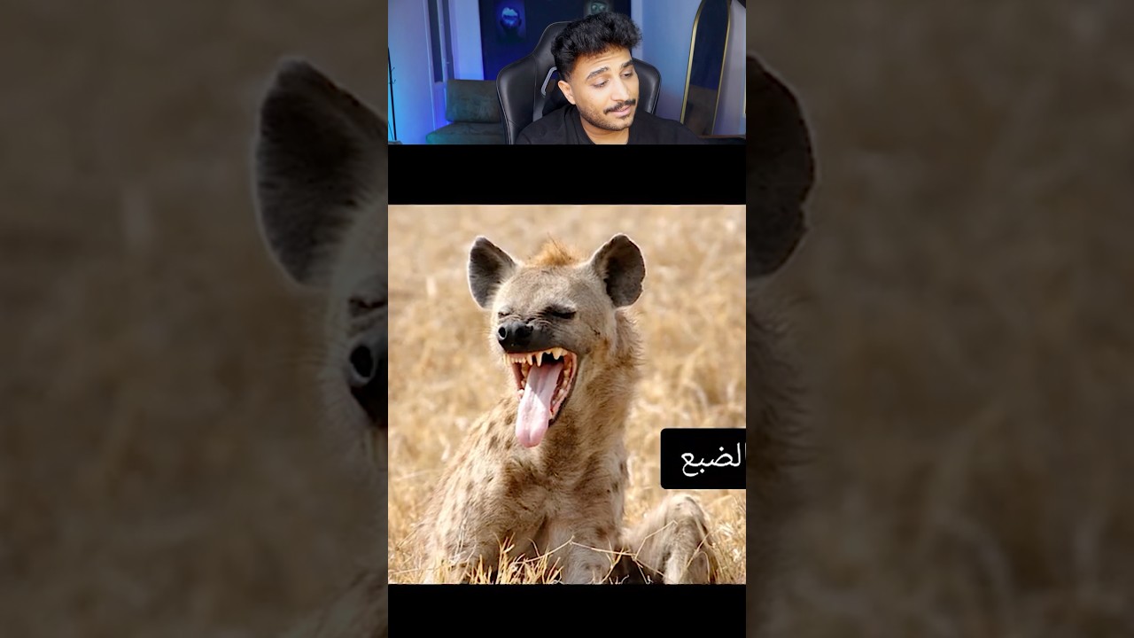 حيوانات مينفعش تربيها في البيت 😳😳