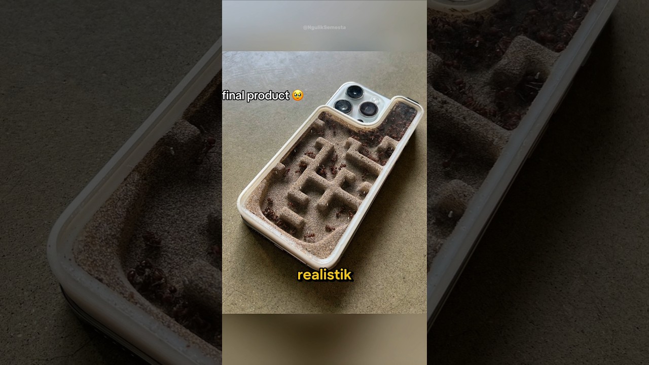Ternak Semut Di Balik Handphone 🐜