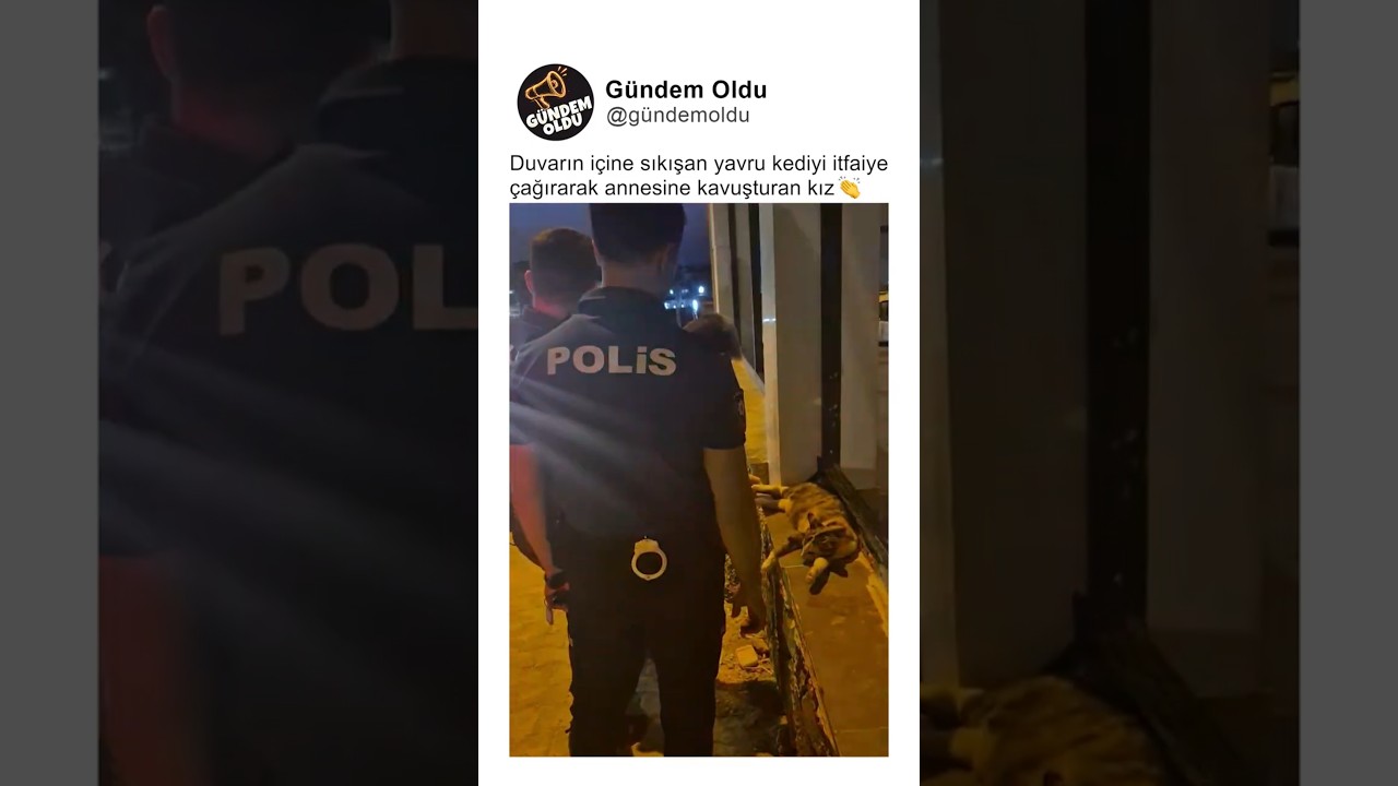 Duvarın içine sıkışan yavru kediyi itfaiye çağırarak annesine kavuşturan kız 👏
