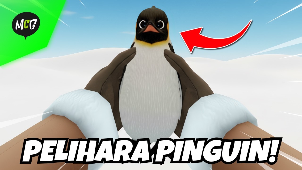 Mister Pelihara Pinguin Lucu Sekali!