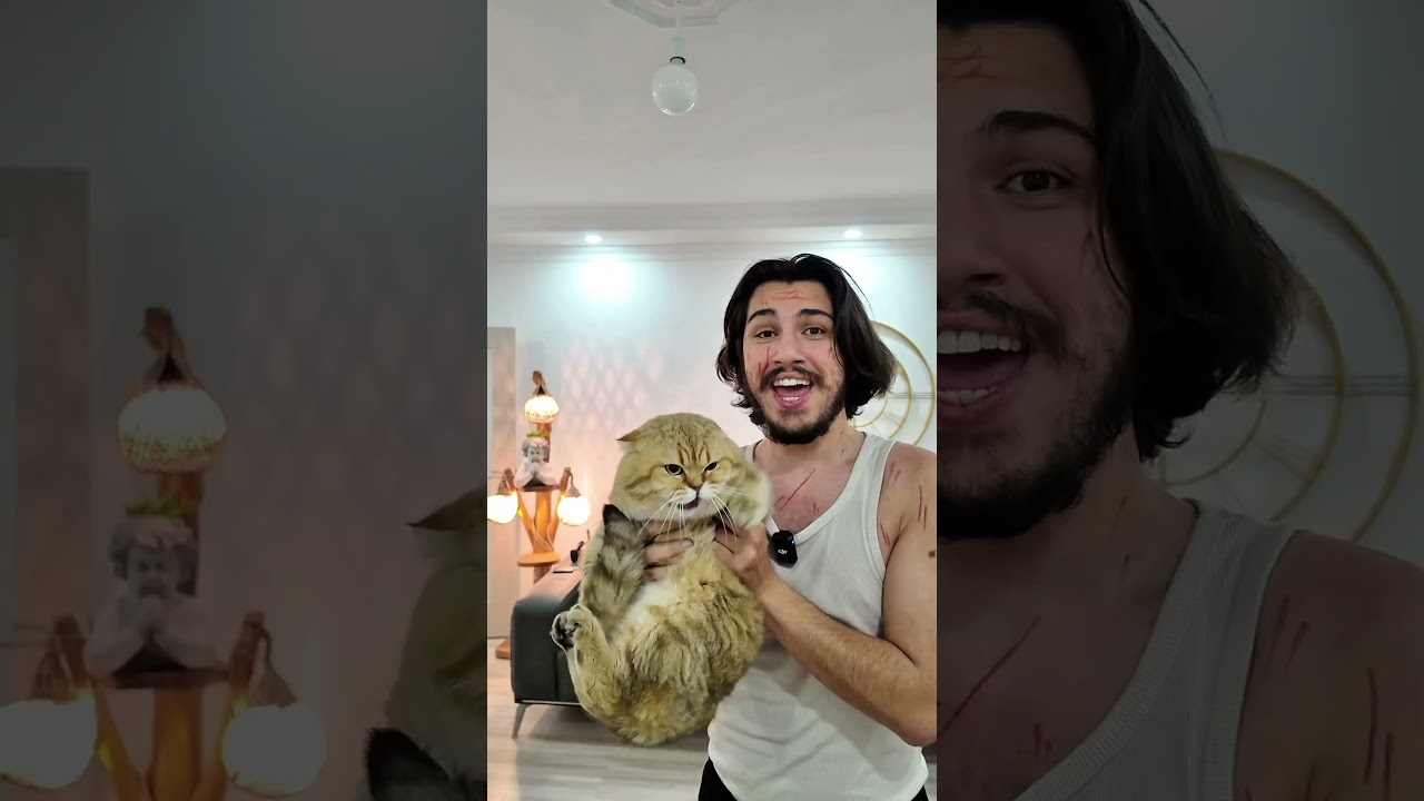 Minnoş diyince gerildi galiba 😬