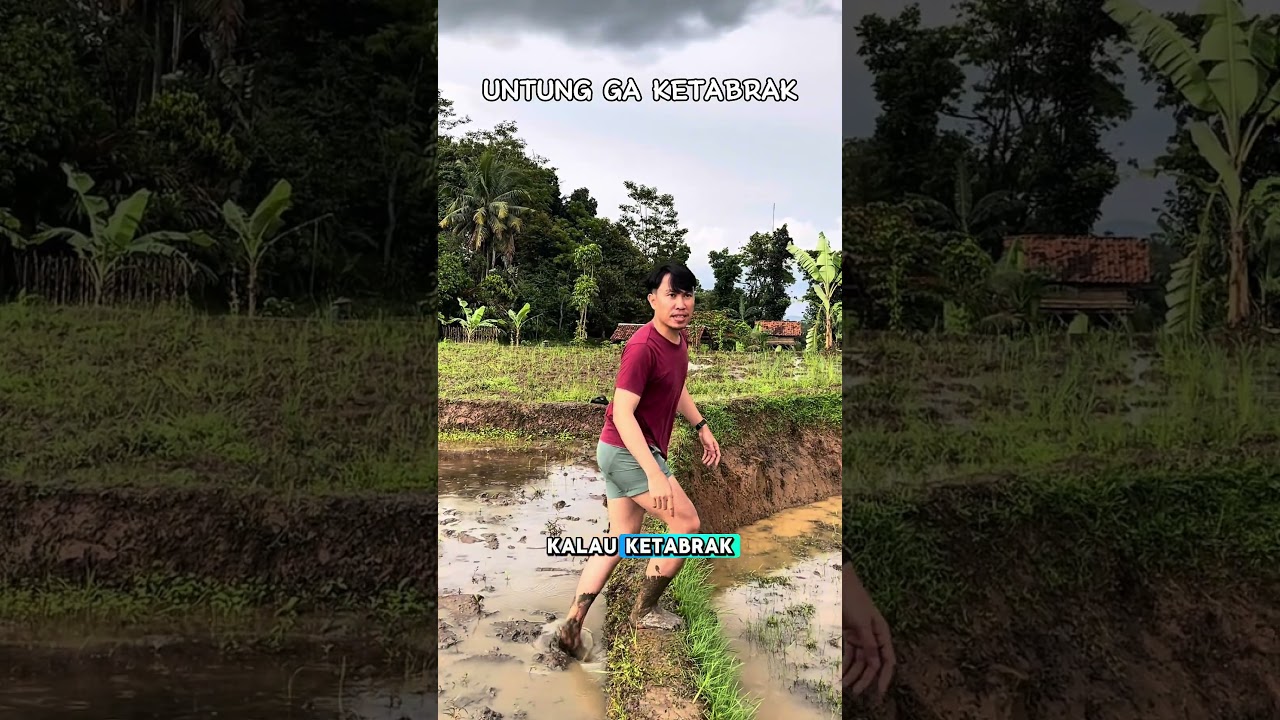 Masih Untuk Tidak Ketabrak