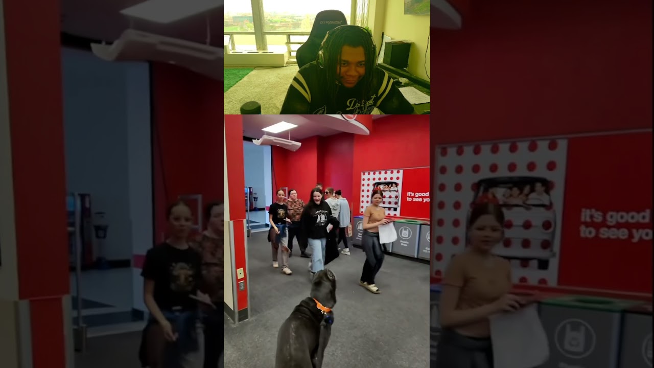 He totally fell for that #animals #funnyshorts #explore