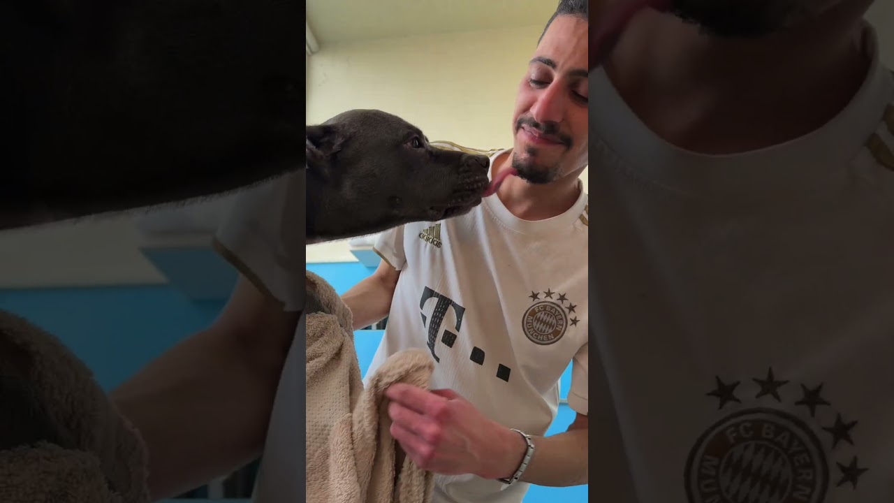 كم نعيماً يستاهل زورو🥹😍