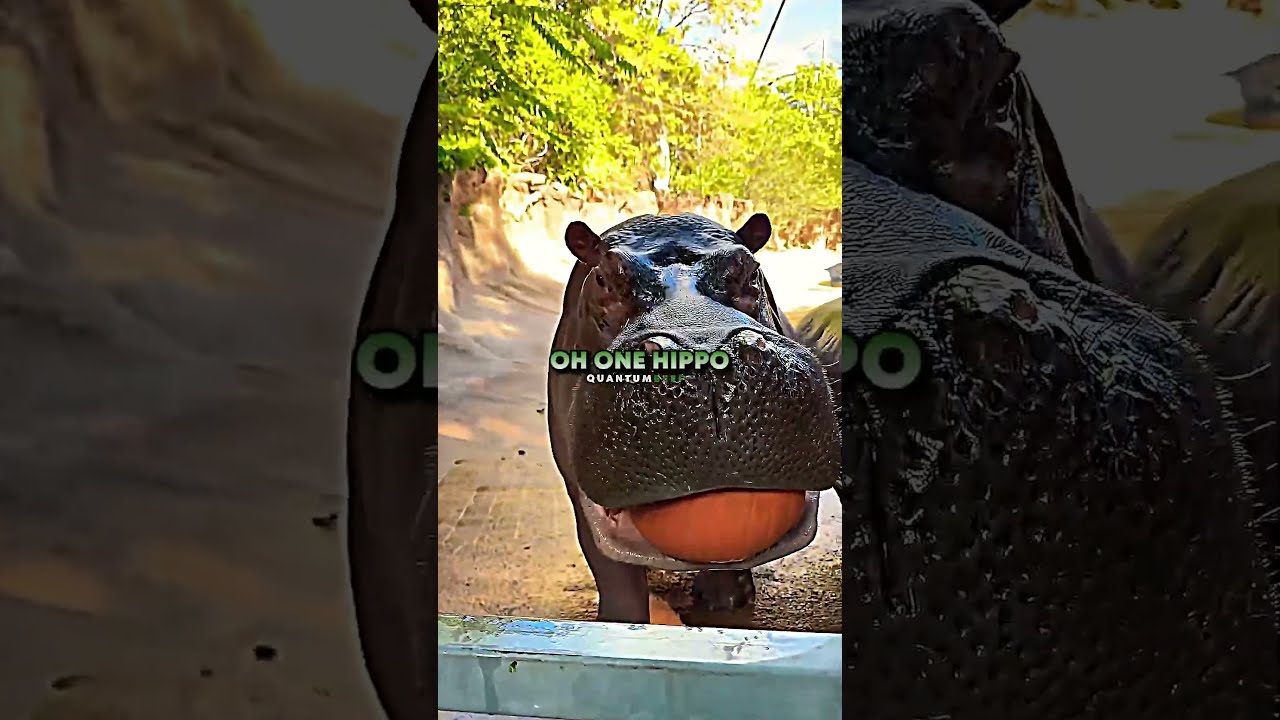 The Worst Animals To Get Chased By ft. Forrest Galante