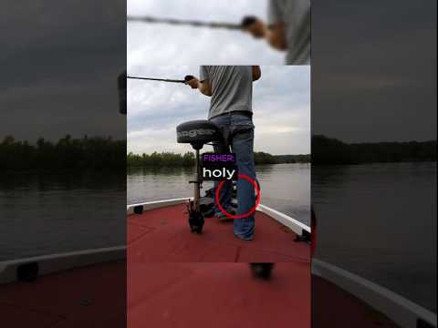 They Started SCREAMING After This HIT Their Boat!😲@BurninEights - Published by WildBite