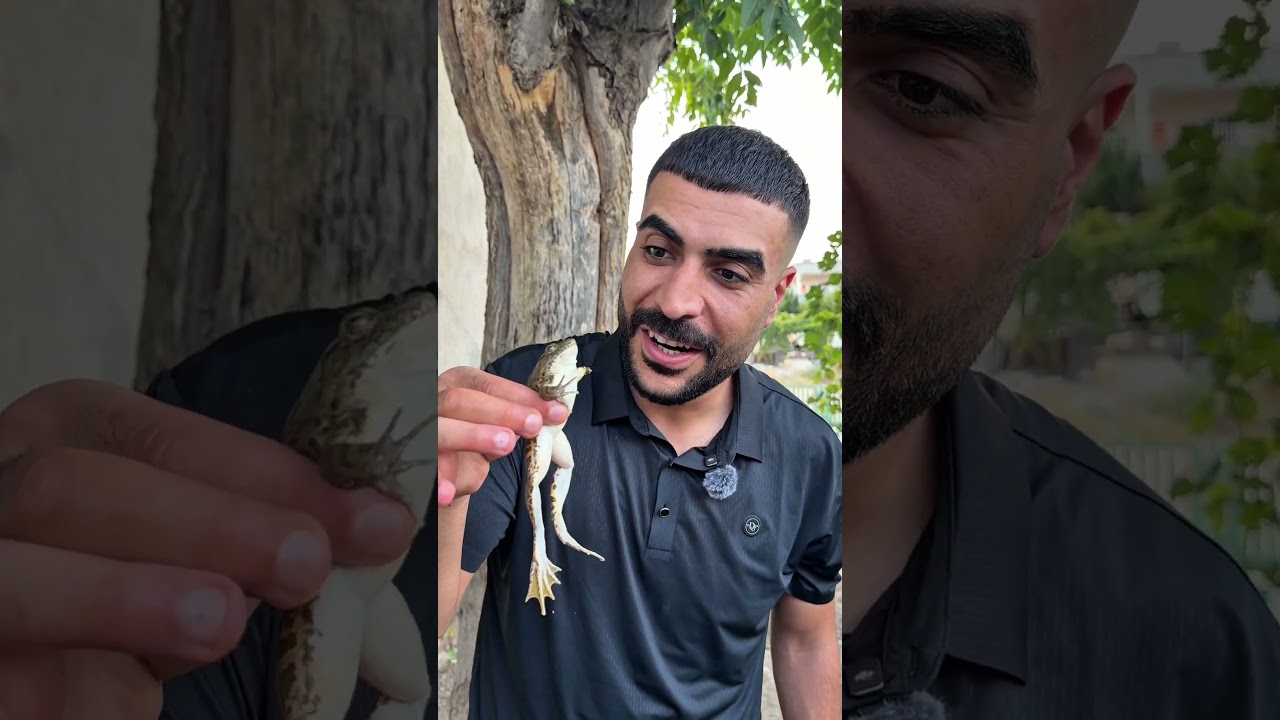 Kurbağa yakaladık #shorts #shortvideo #youtubeshorts #global #foryou #funny