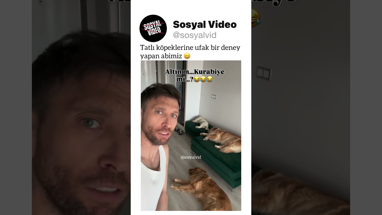 Tatlı köpeklerine ufak bir deney yapan abimiz 😄