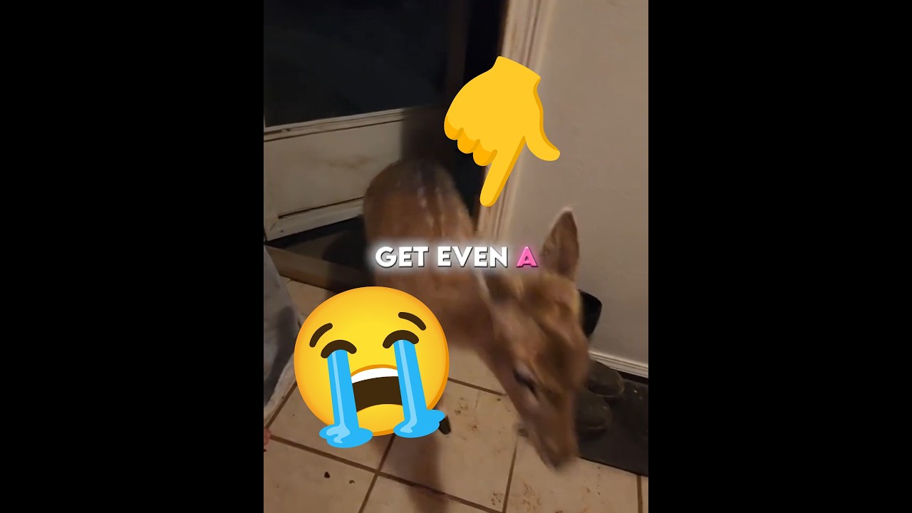 #smallcreator