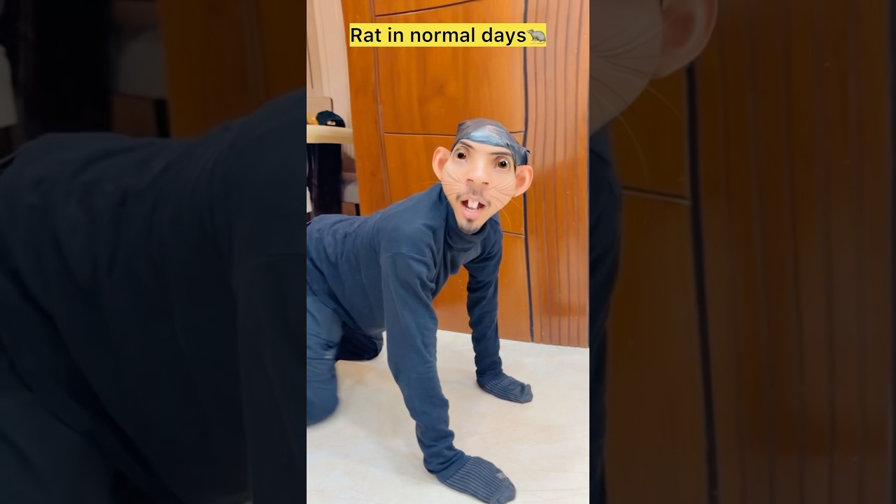 Rat🐀 in normal days v/s rat in Ganesh Chaturthi 😂 #comedy #funny #ganeshchaturthi2026