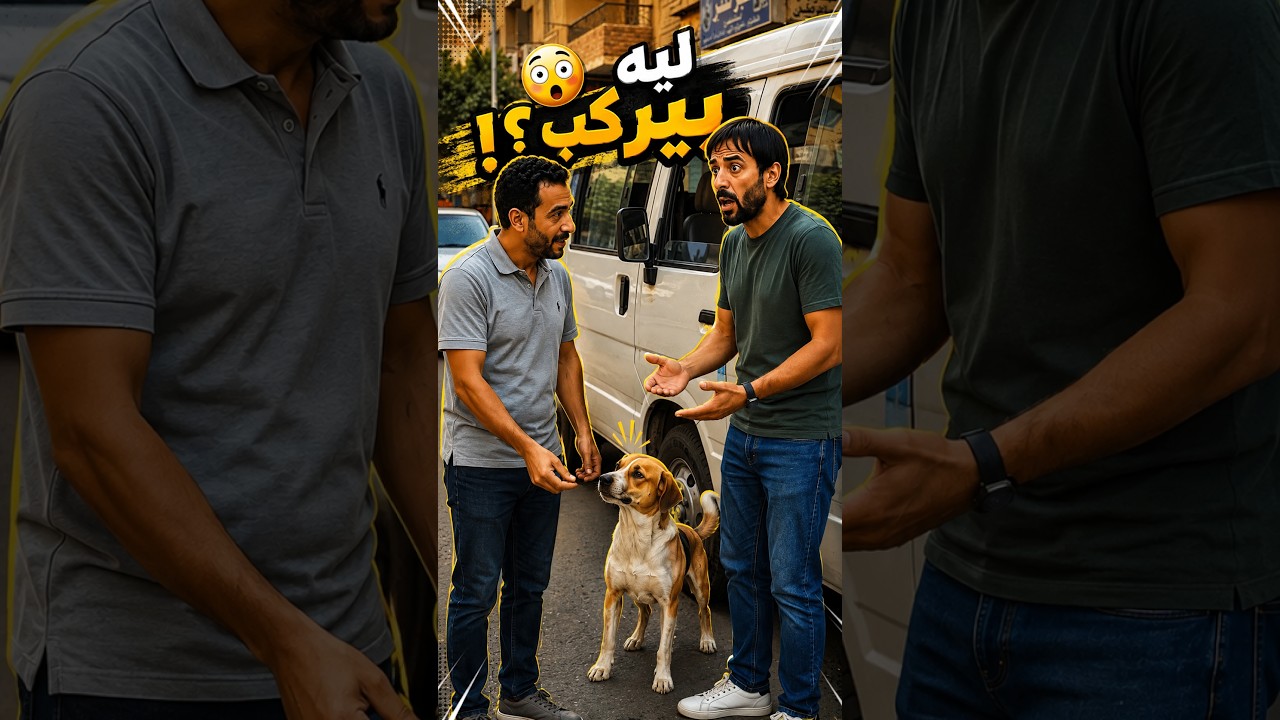 🐶 الكلب كان بيركب الميكروباص ليه؟! 😂