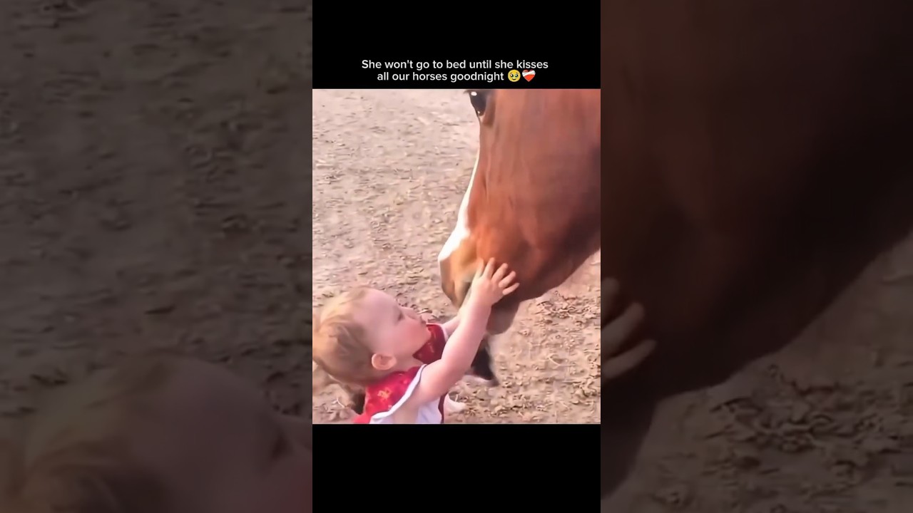 The Second Horse Understood The Assignment 🥹❤️