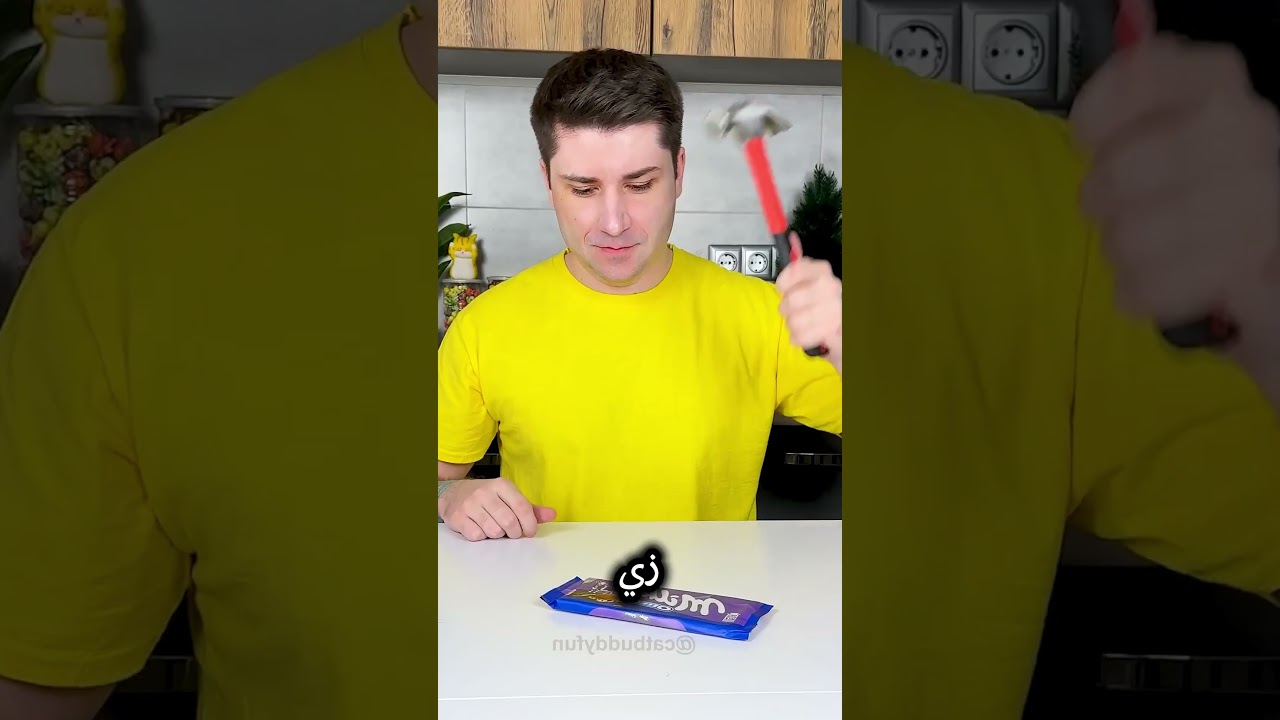 رد فعل القط لما صاحبه أخذ منه الشوكولاتة 😂