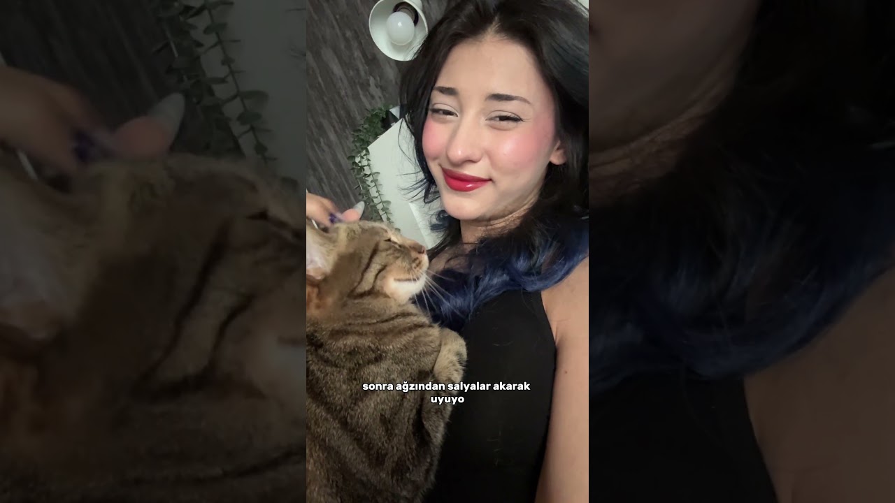 Kedilerimi Tanıyın 🥰