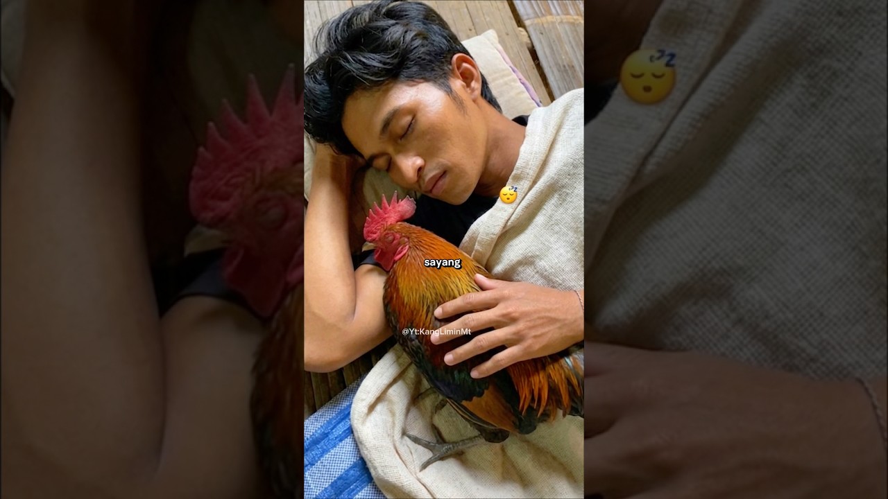 kalian punya hewan kesayangan ga