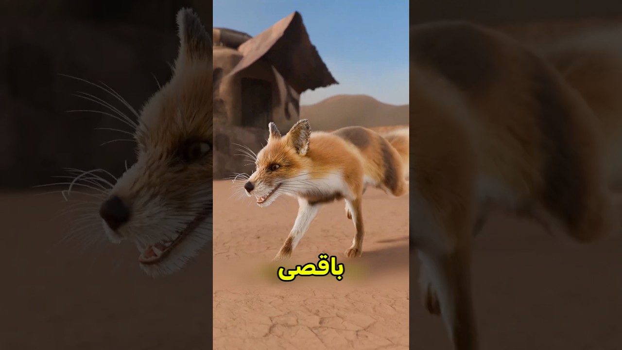 كانو يستعملوا الثعلب عشان ينبسطوا 😟 #shortvideo