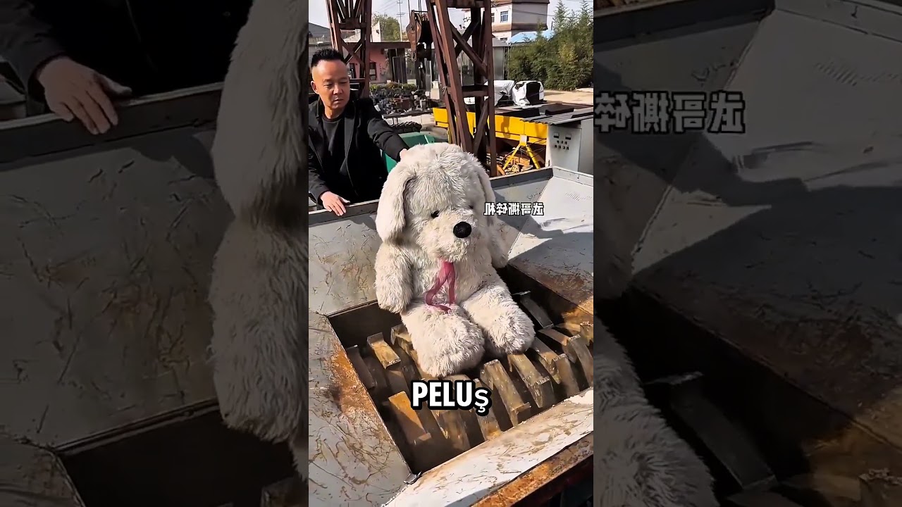 Peluş Ayıyı Makineye Attı… İçinden Çıkan Şeye İnanamayacaksınız! 😱