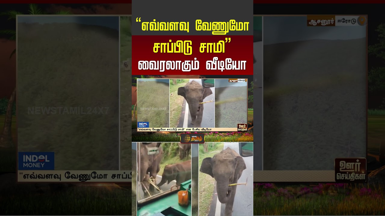 Erode | ElephantVideo | “எவ்வளவு வேணுமோ சாப்பிடு சாமி..” வைரலாகும் வீடியோ