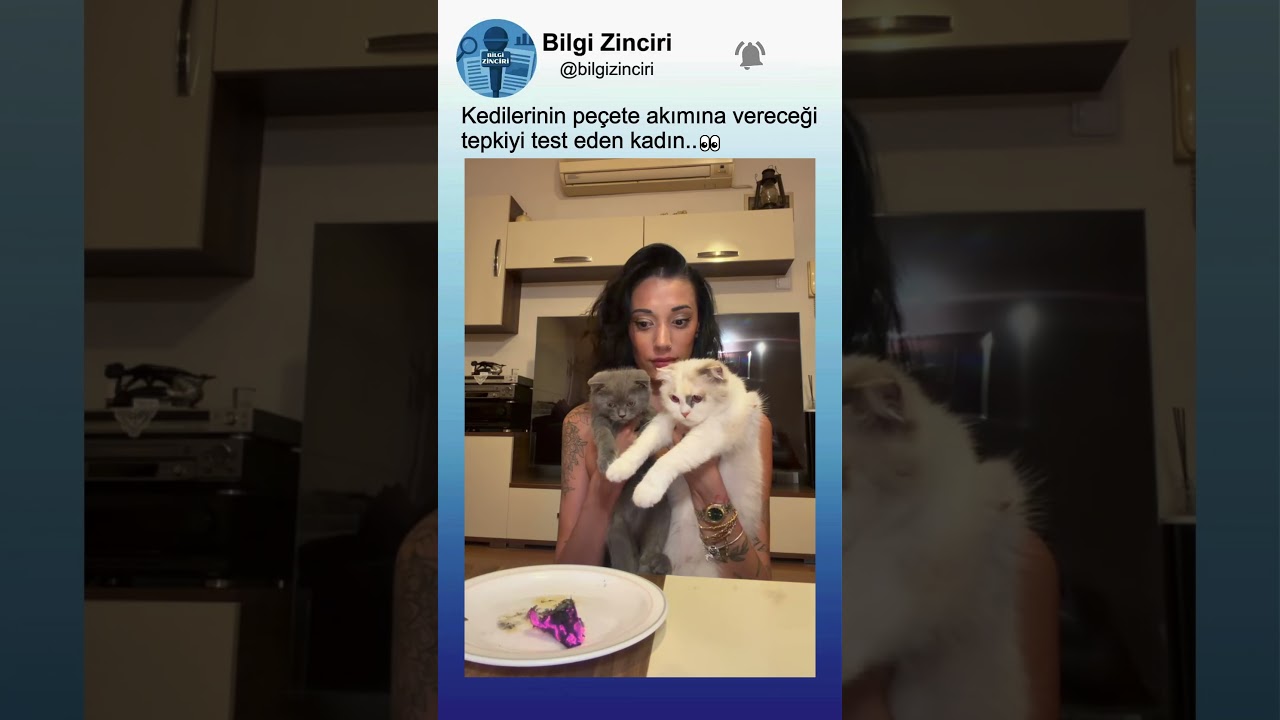 Uçan Peçete Akımına Kedilerinin Ne Tepki Vereceğini Test Eden Kadın🐈👀