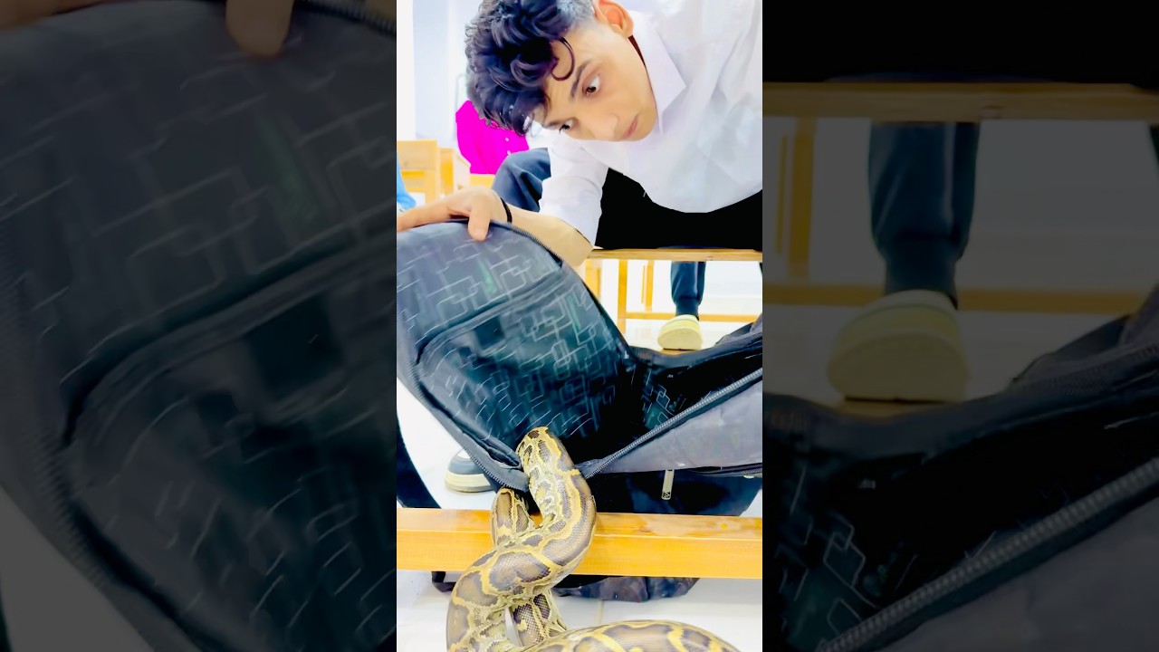 لما تجيب تعبان 🐍 لجنه امتحان 🤦‍♂️😂#القيصر