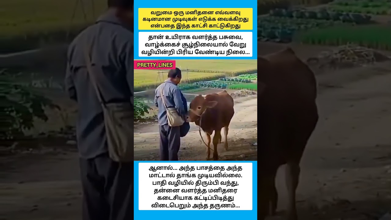 வறுமை ஒரு மனிதனை எவ்வளவு கடினமான முடிவுகள் எடுக்க வைக்கிறது என்பதை இந்த காட்சி காட்டுகிறது #shorts