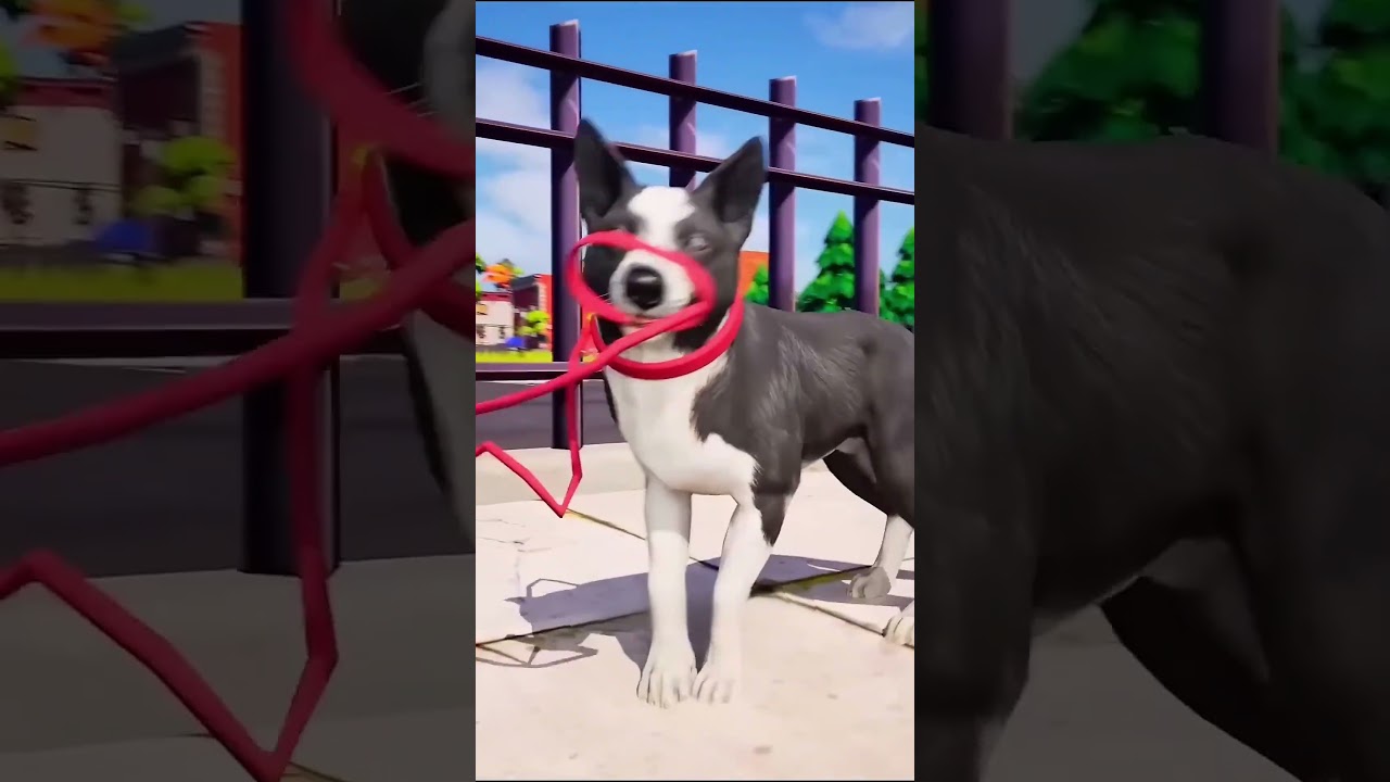 Bu Sahibi Sert Köpeğini Test Etti 😯❤️