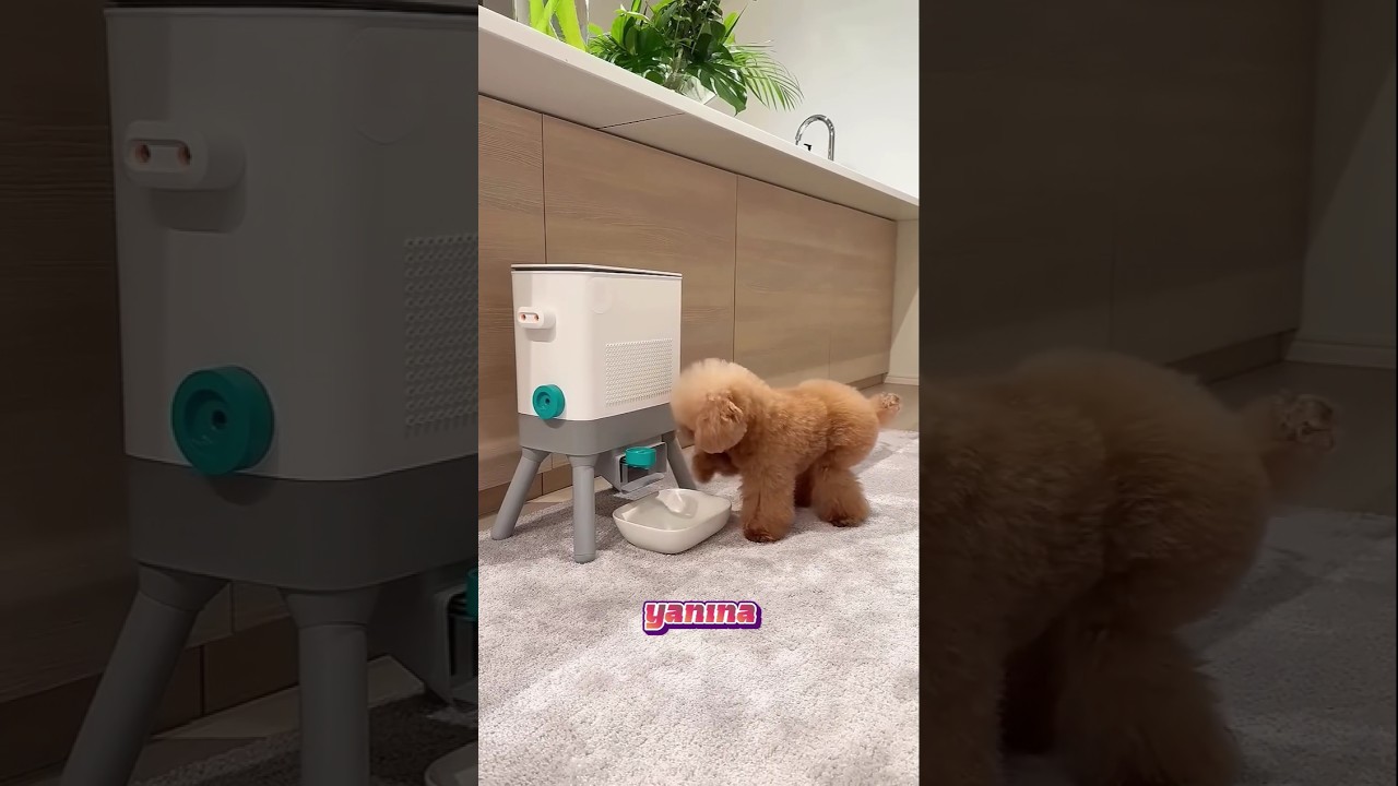 Öğretmenin son gününde kalpten gelen en güzel hediyeler