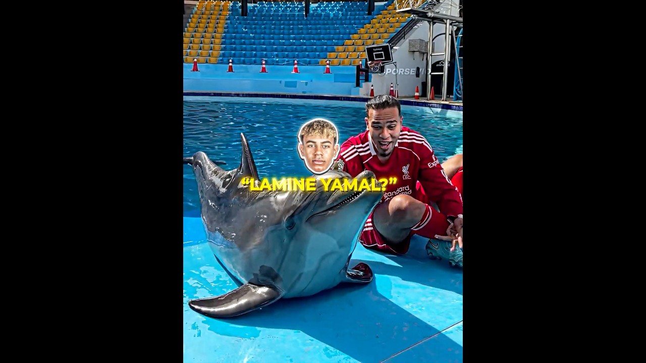 Smartest Ronaldo Fan Ever 🐬🤯