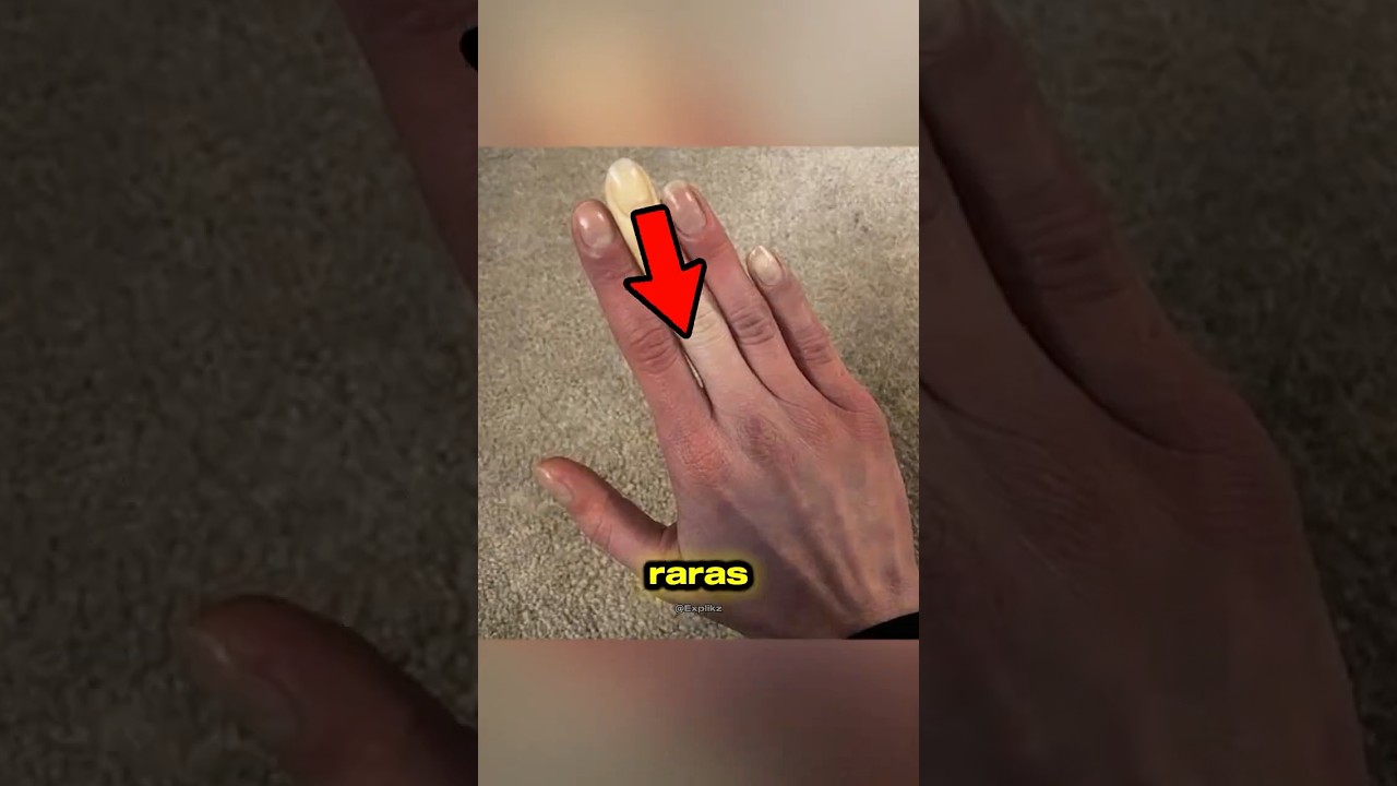 Meu cachorro recusa-se a usar a nova cama que comprei para ELE!