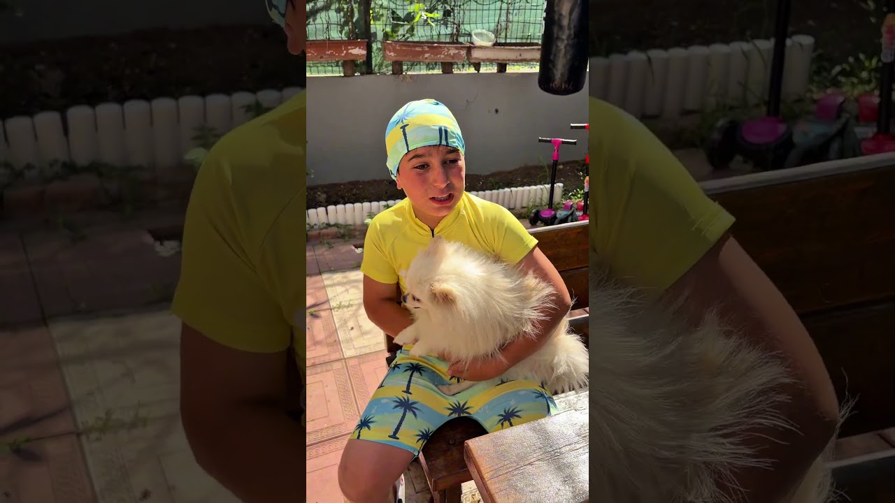 Köpegi havuza sokmaya çalıştı #sorts #shortvideo #youtubeshorts