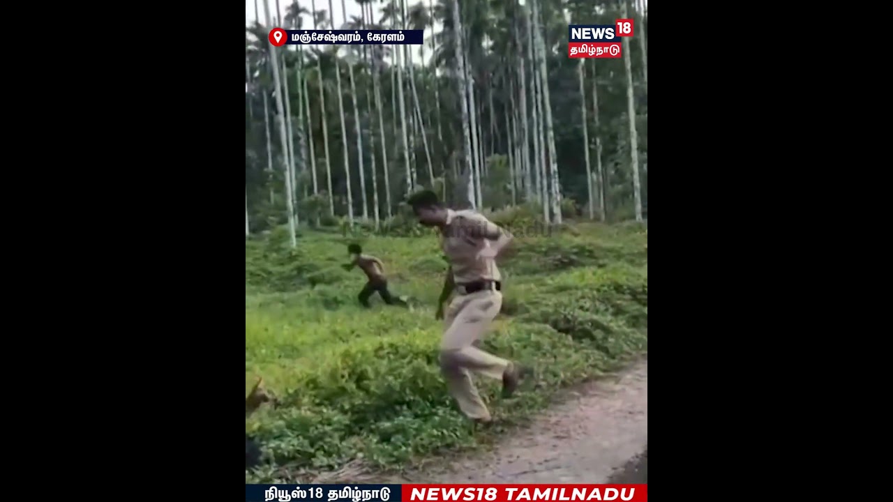 Keralam Viral Video | காசர்கோடு அருகே தடையை மீறி குடிநீர் குளத்தில் குளித்த கர்நாடக இளைஞர்கள் | N18S