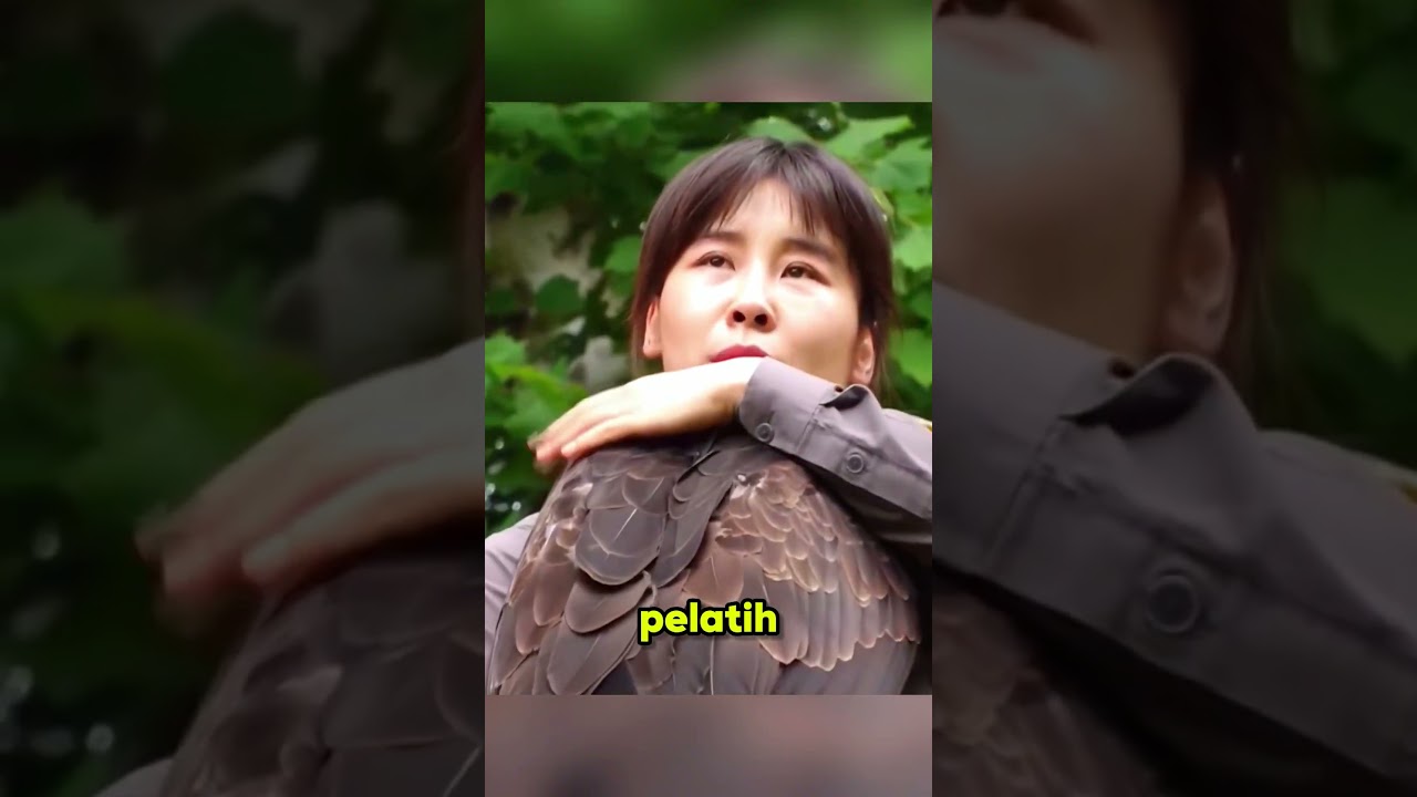 ELANG INI MENGIRA DIA AYAM⁉️