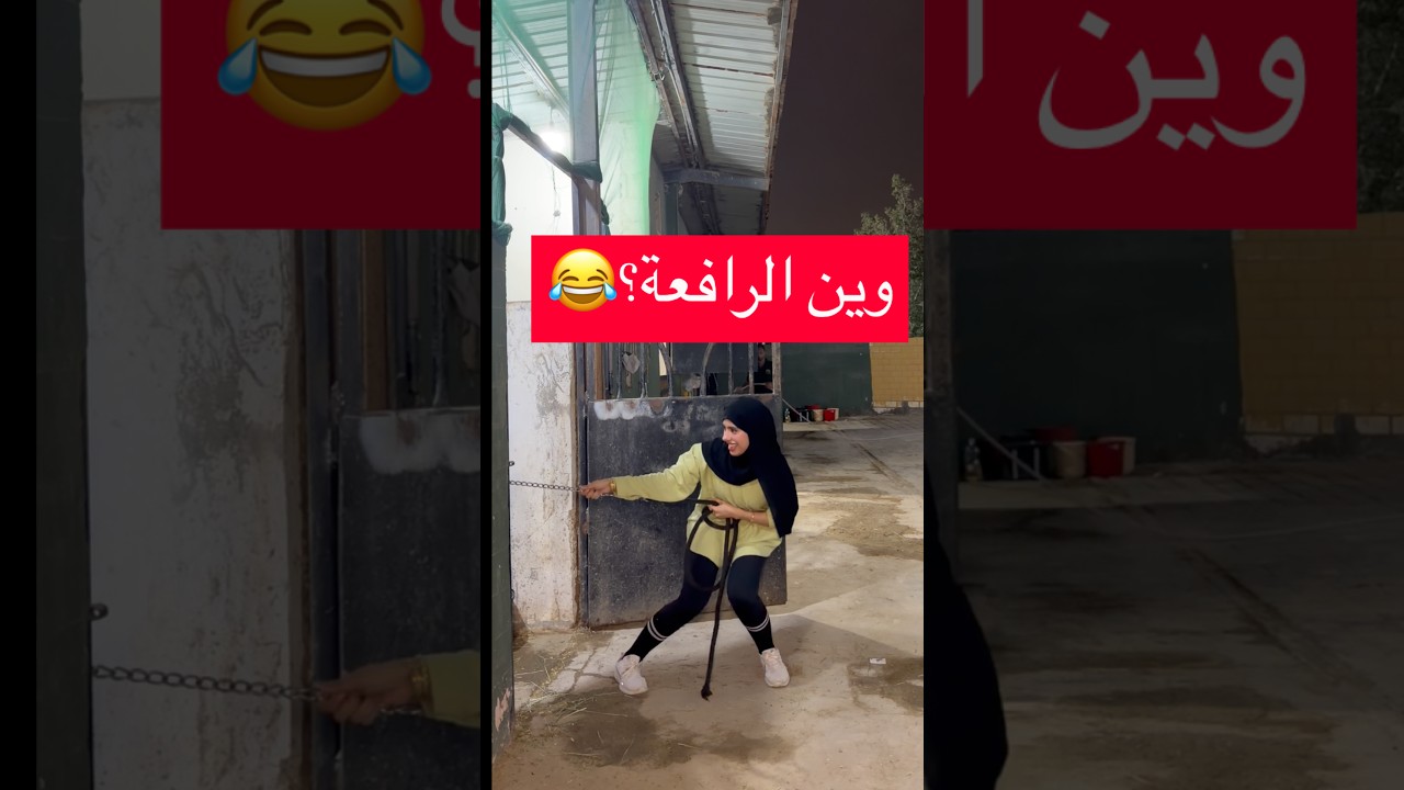 يبغاله رافعة😳🐴#explore #foryou #fun #horse #اكسبلور #legend #رغد #fyp #funny #ترند #viral #fy #yt