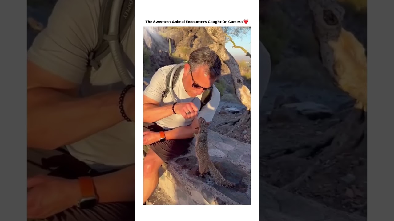 Cutest Animal encounters 🥰