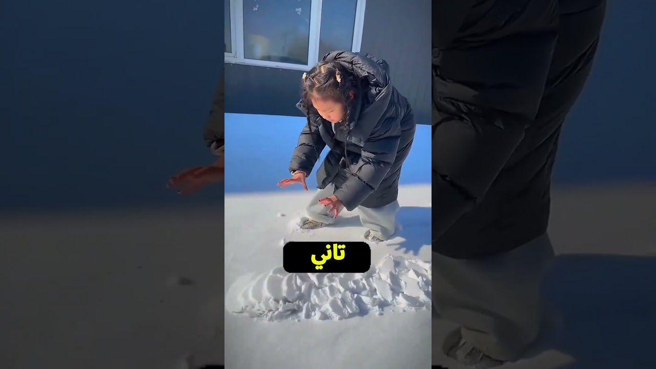 ينهار ابيض يبابا علي الحيوان😄