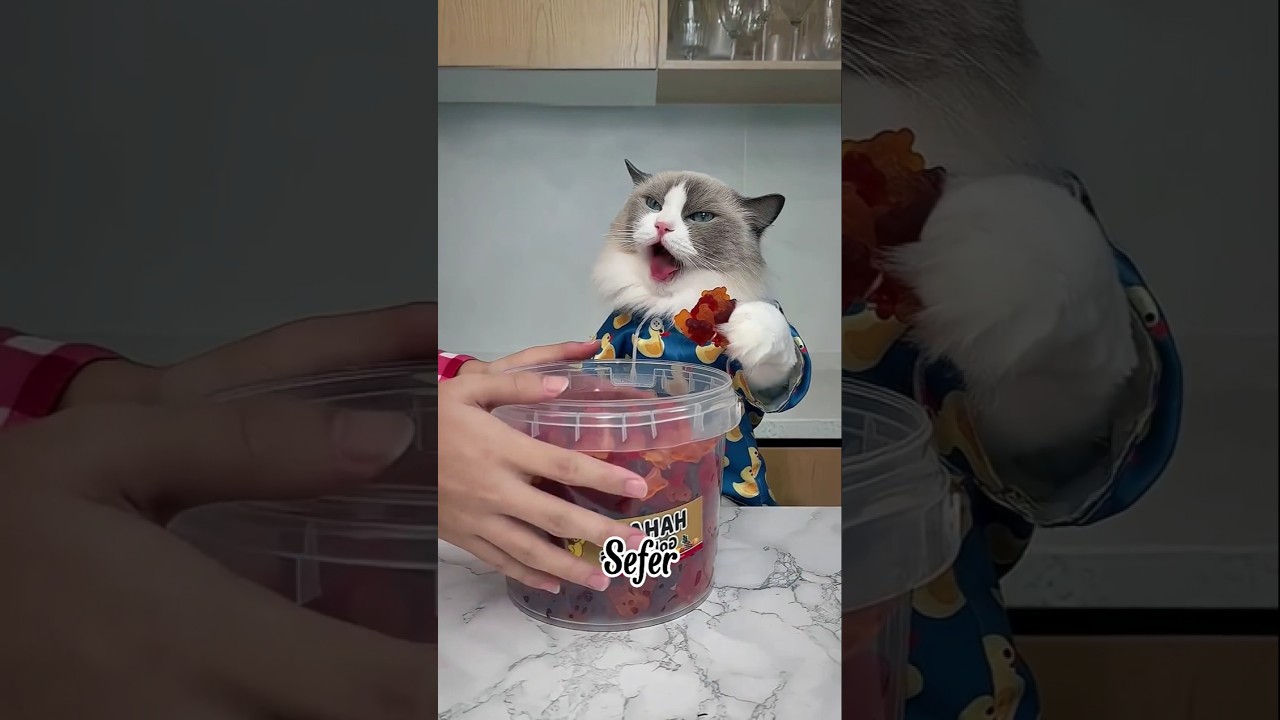 Sevimli Küçük Kız Diyette 🤣