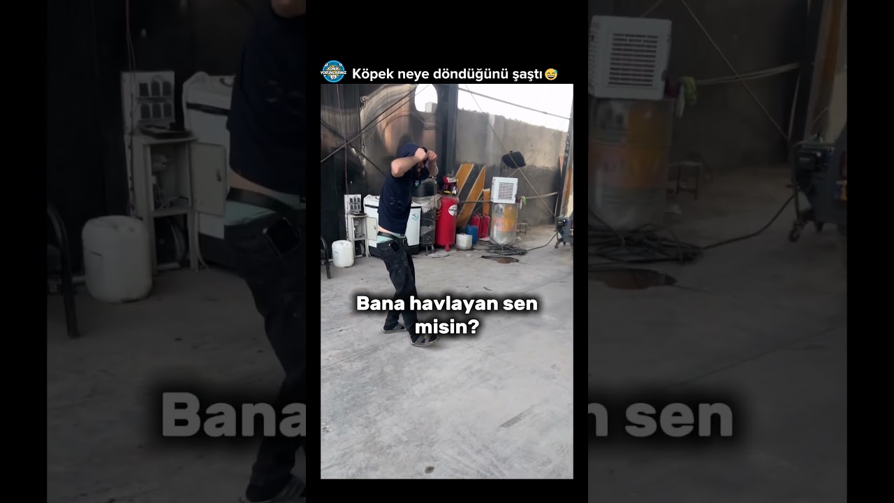 İyi taktik 😅 Köpek neye döndüğünü şaştı #akımvideoları  #komikyorum #komikyorumlar